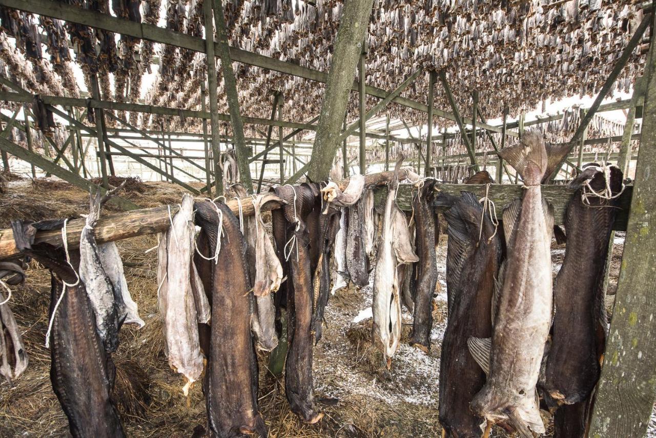 오 Salteriet 호스텔 외부 사진